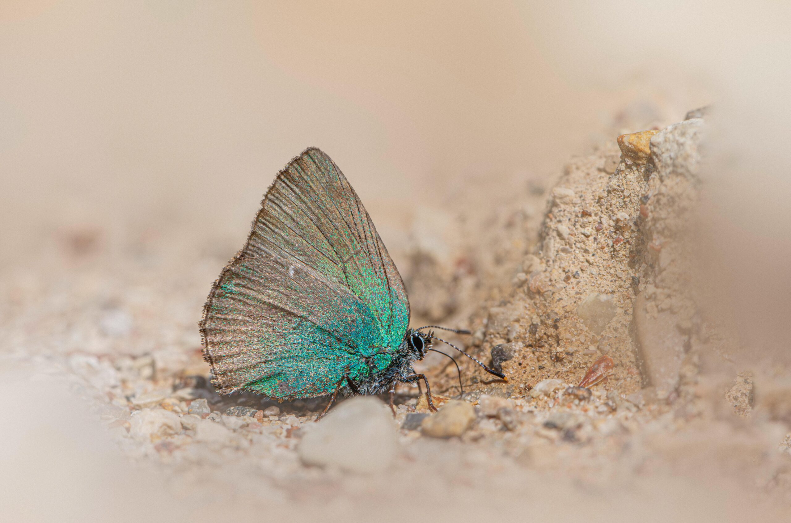 Extreme Overclocking Case Studies and Results